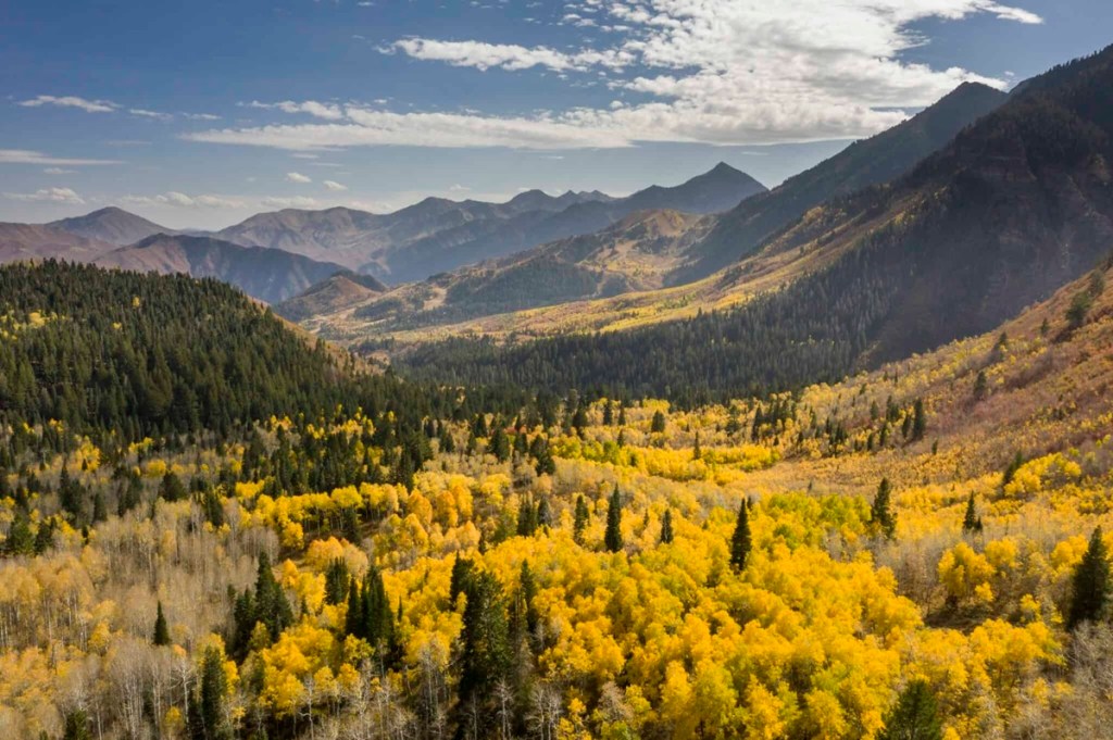 leaf peeping in Utah