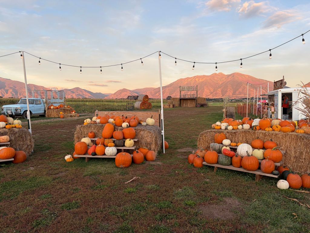 A wide variety of pumpkins at Glen Ray's Farm in Utah