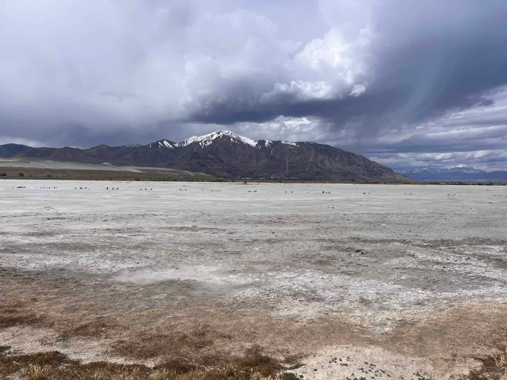 Great Salt Lake